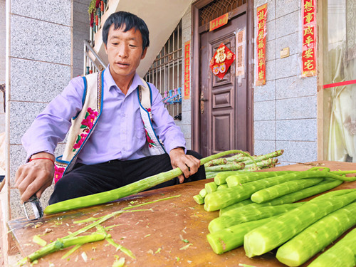 农户正在初加工贡菜.jpg