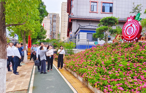 楚雄市西苑社区开展民族团结创建现场观摩交流,互学互鉴基层治理与民族工作典型经验。_副本.jpg