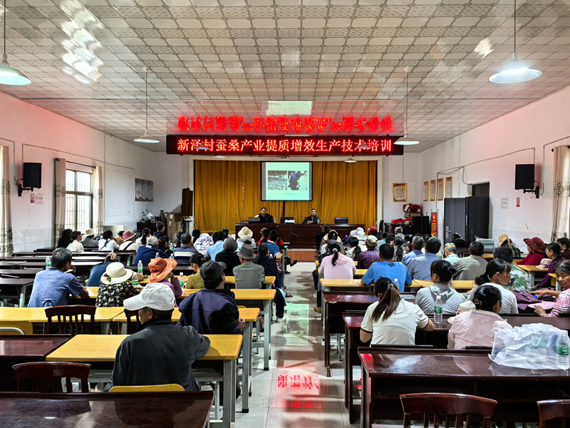 县蚕桑专家杨大顺授课_副本.jpg