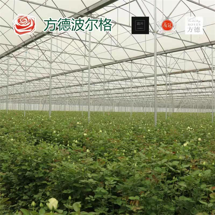 禄丰农业农村局.png