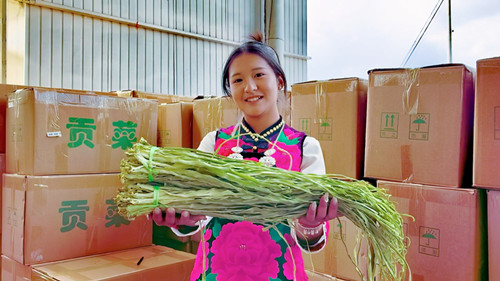 农户自家晾晒的贡菜.jpg